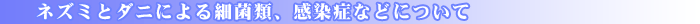 ねずみの悪影響とは・・・