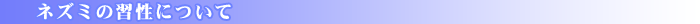 ねずみの習性について